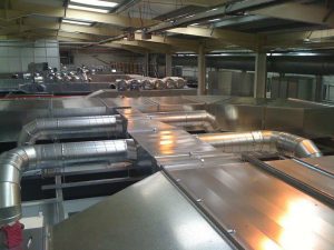 13346689_1409928375699811_4815879485479036688_n_1409928375699811